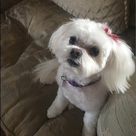 Meet your Posher, April - Picture 6 of 8